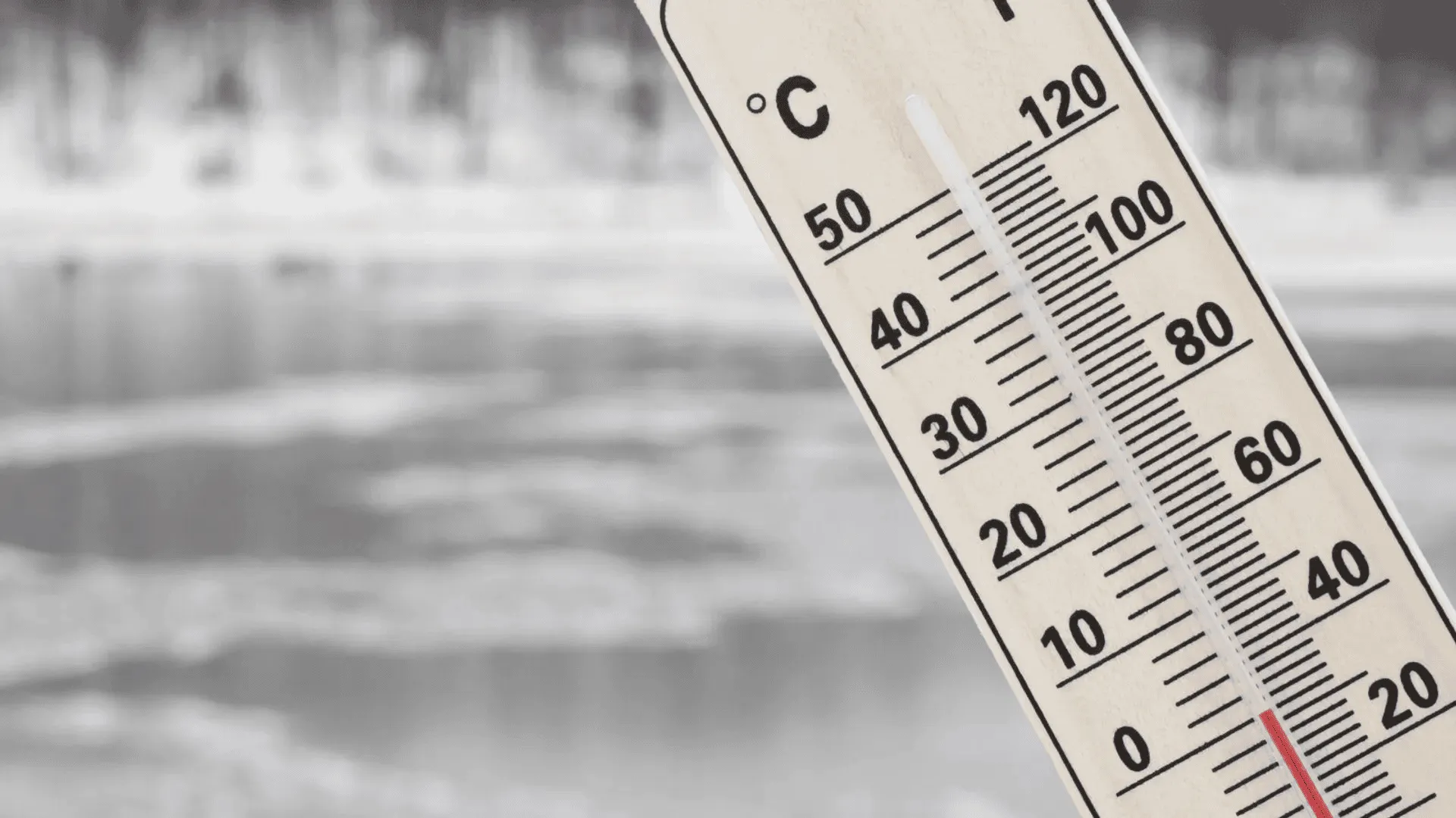 IMG, prognoza pogody