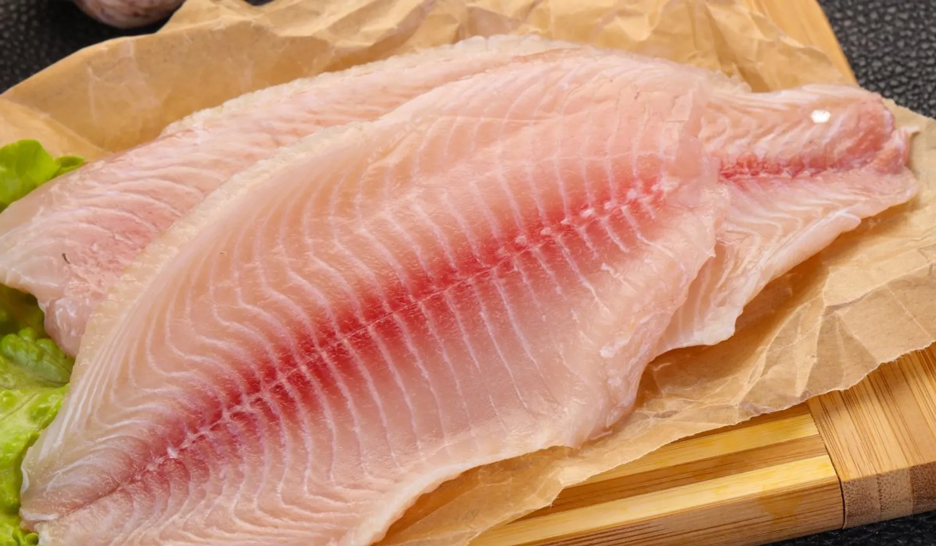 tilapia