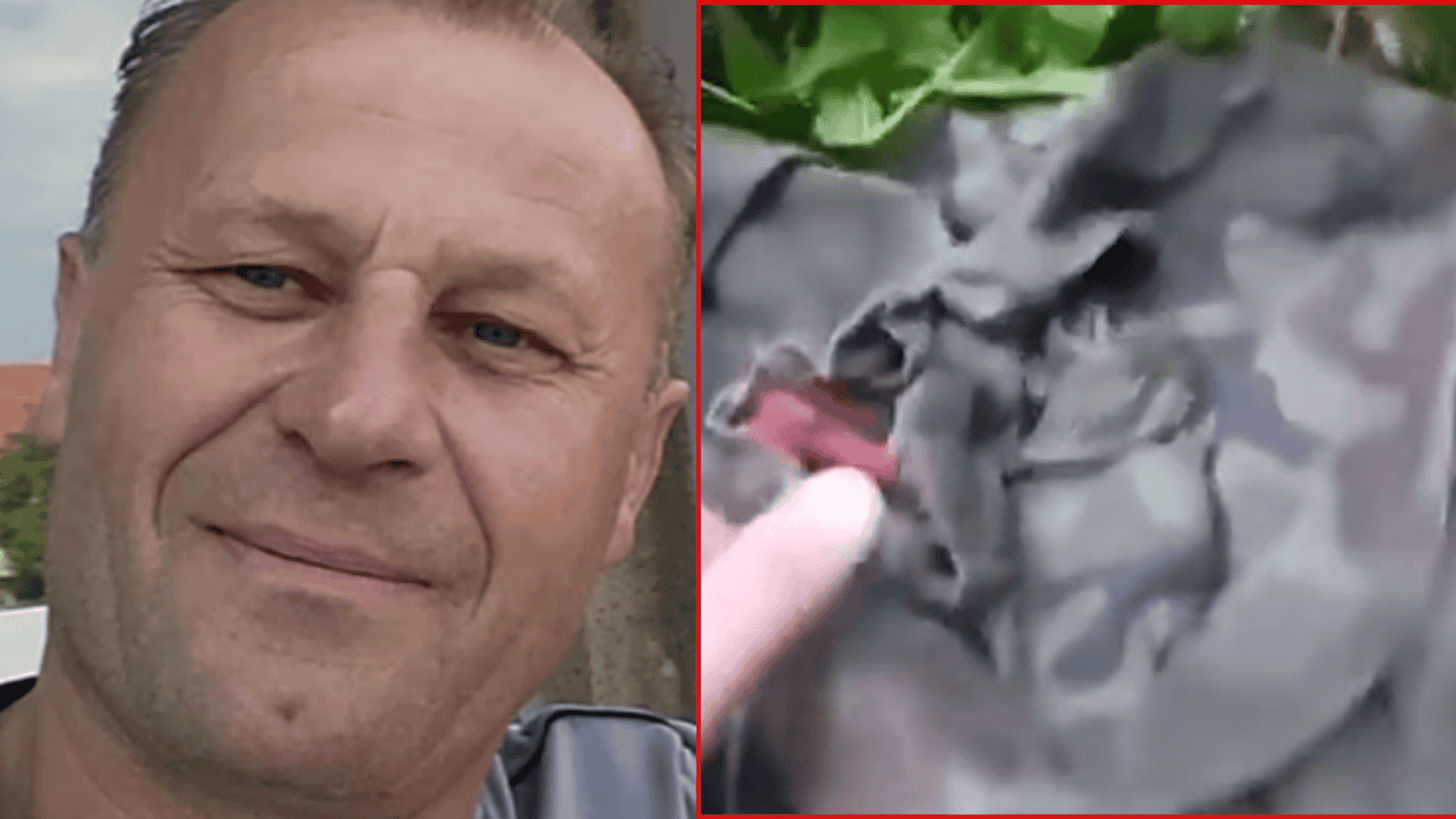 tropy w lesie po Tadeuszu Dudzie