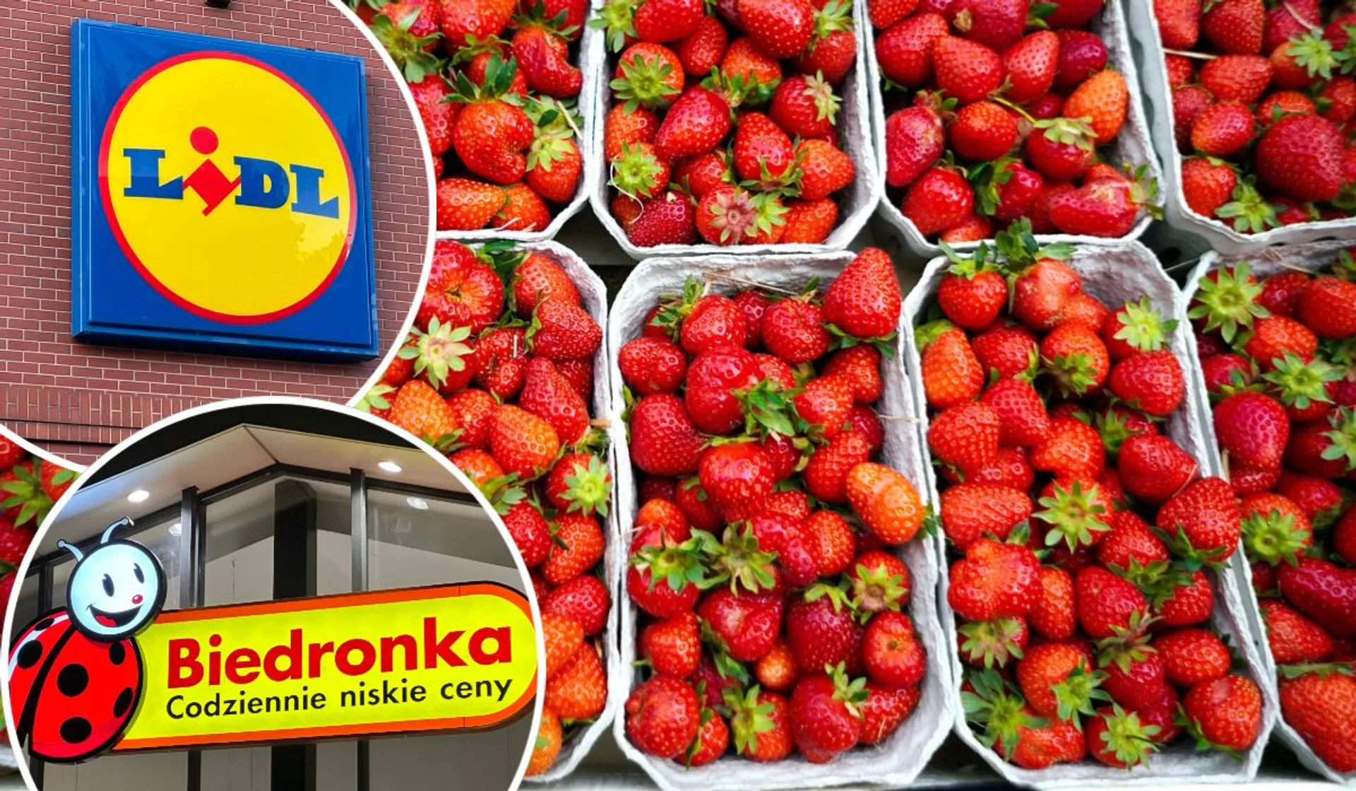 Lidl, Biedronka, truskawki