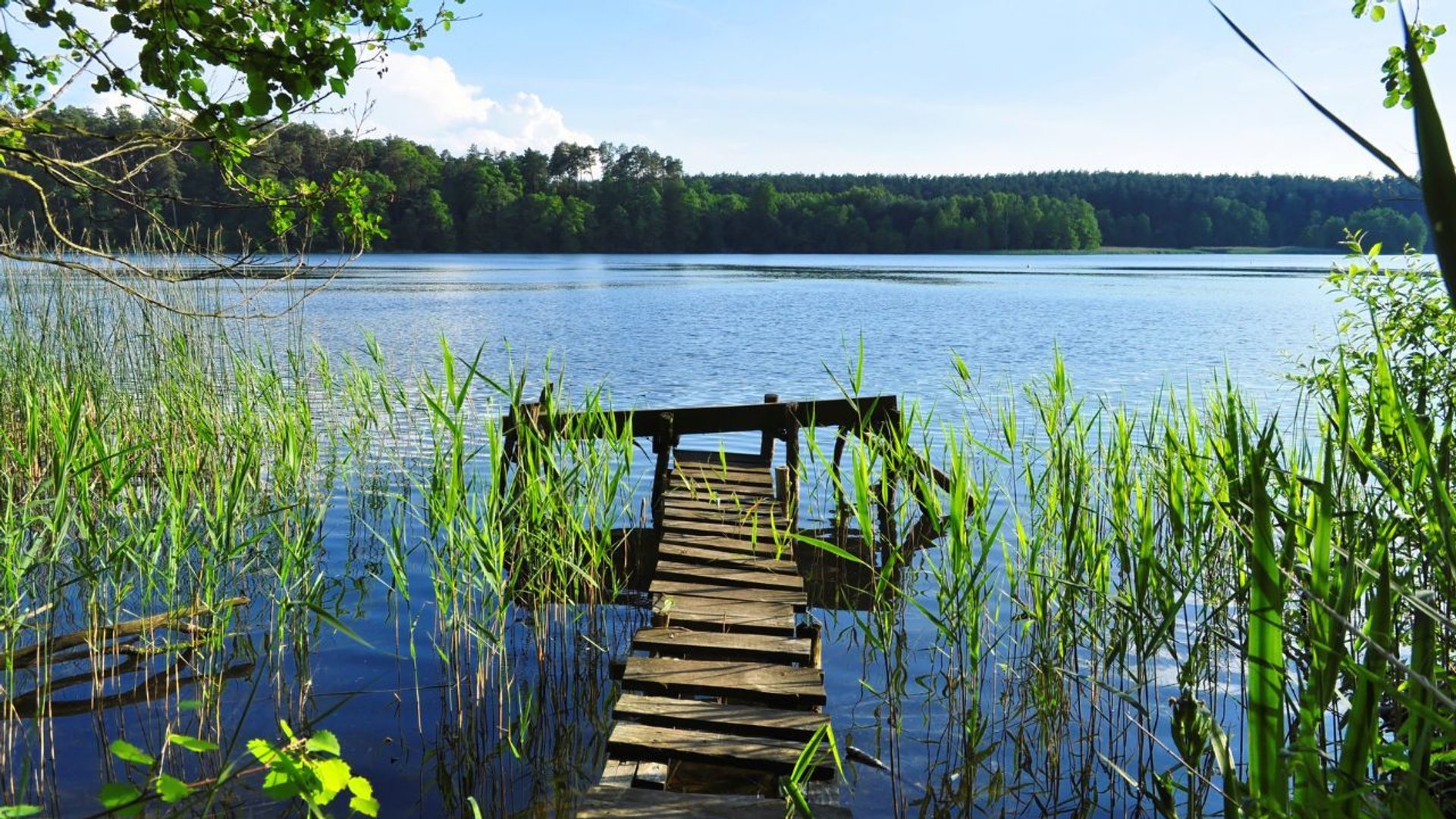 Mazury