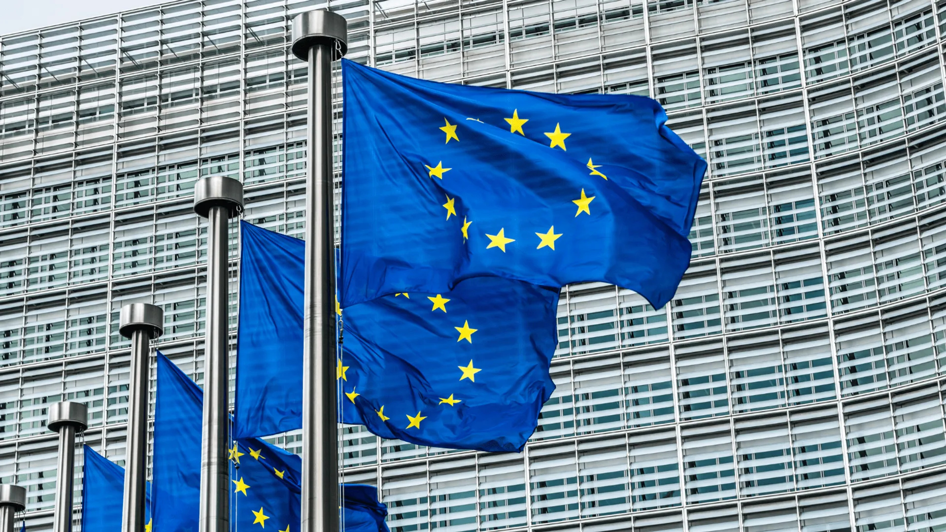 flaga unii europejskiej