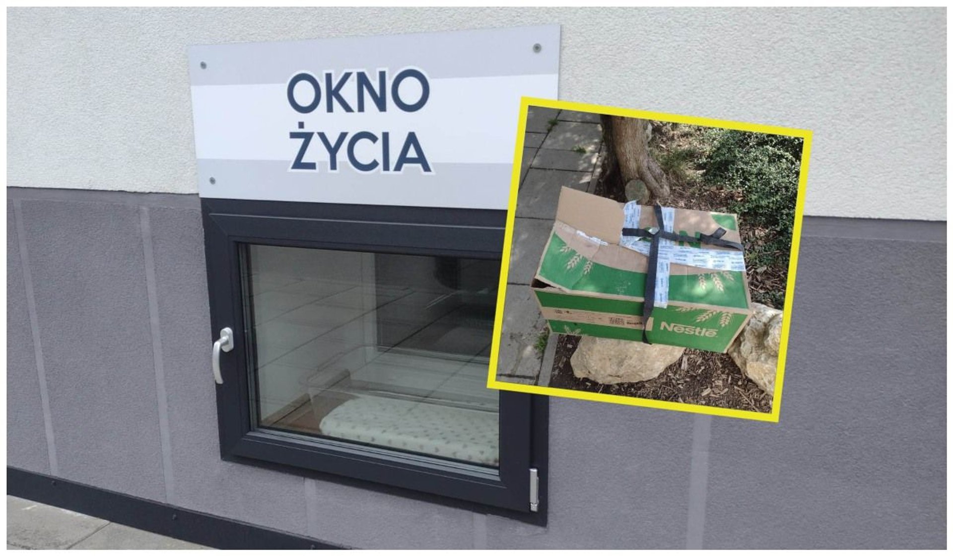 Okno życia