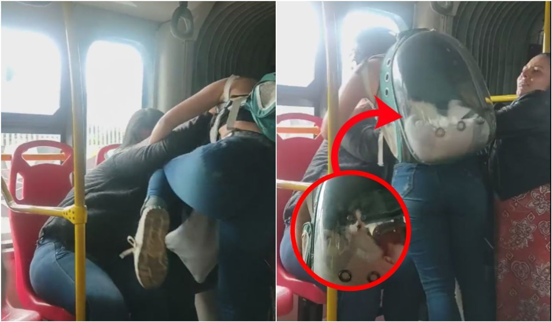 Bójka w autobusie