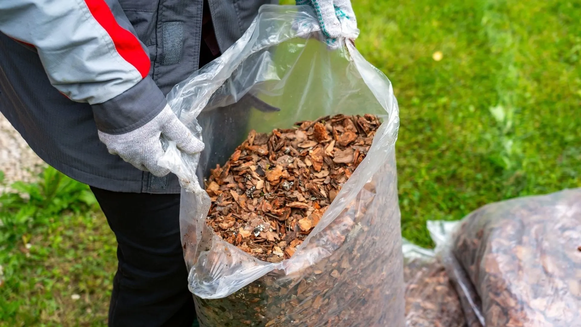 jak nie stracić plonów podczas fali upałów