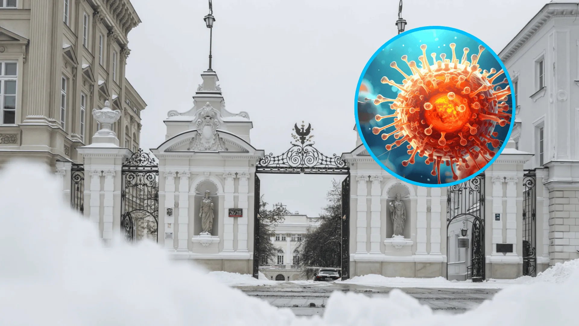 Uniwersytet Warszawski, wirus