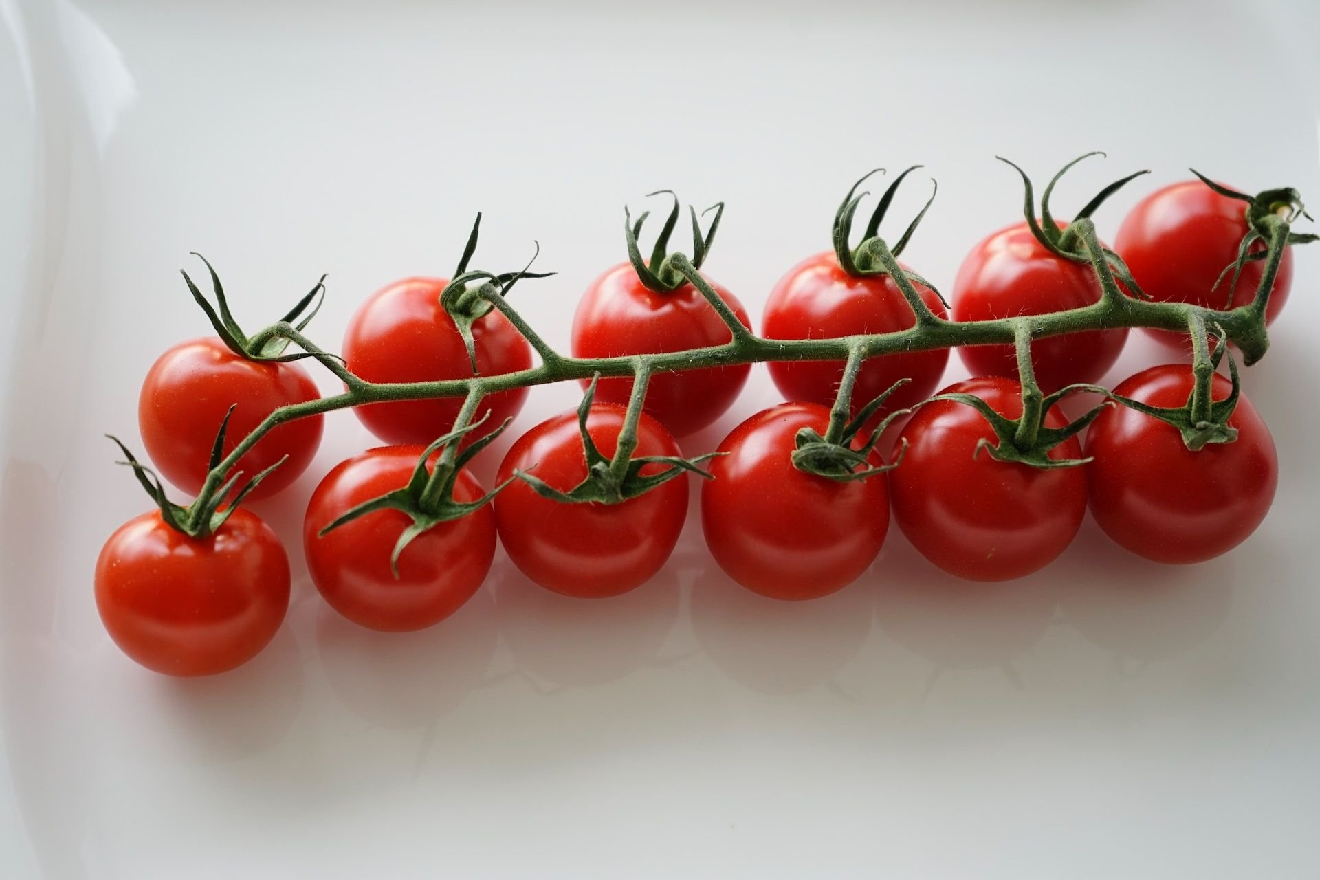 pomidory z Ukrainy