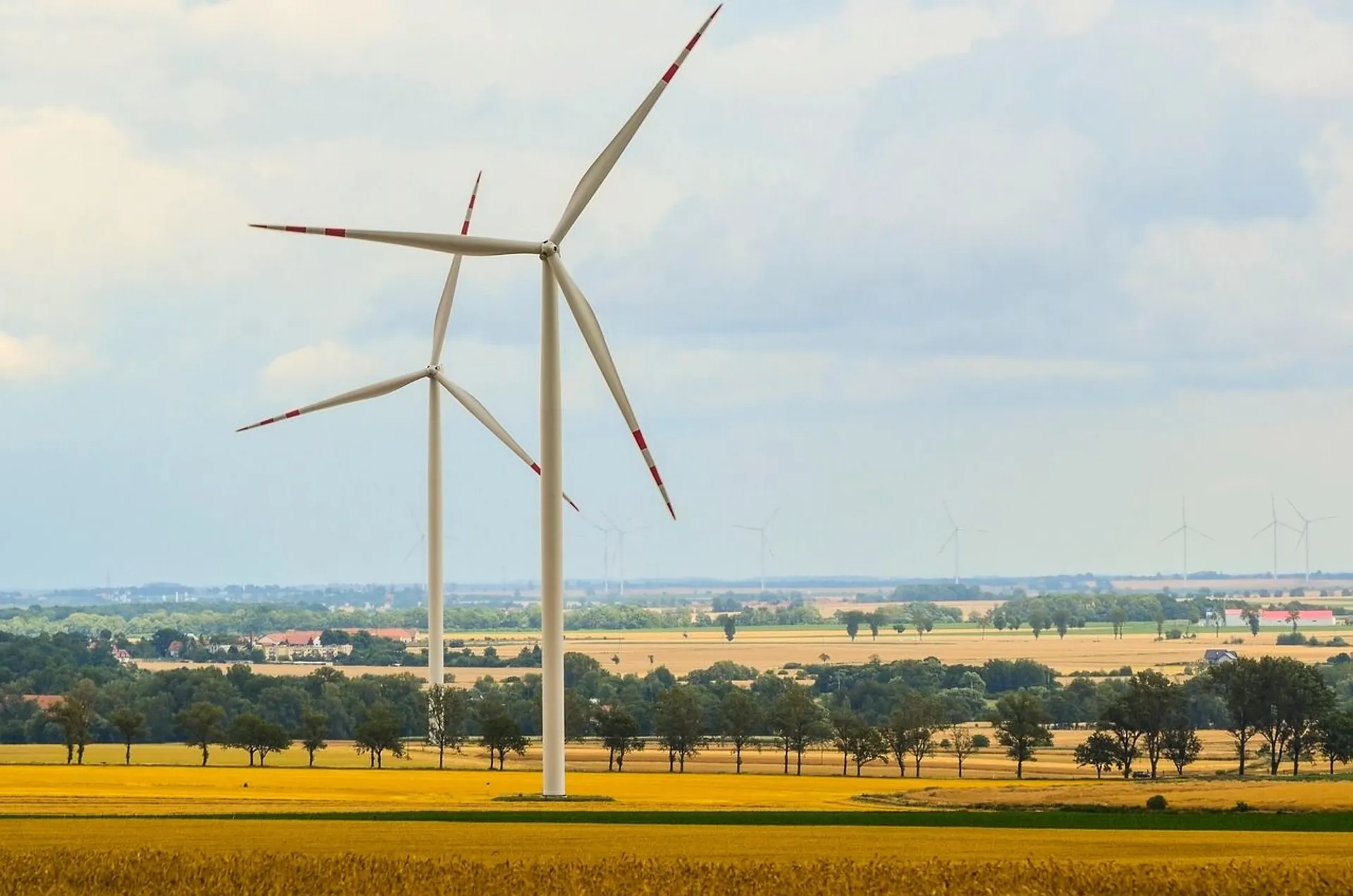Elektrownie wiatrowe