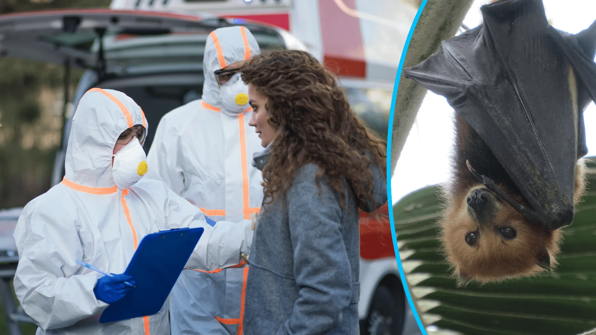 Wirus Nipah, fot. Canva