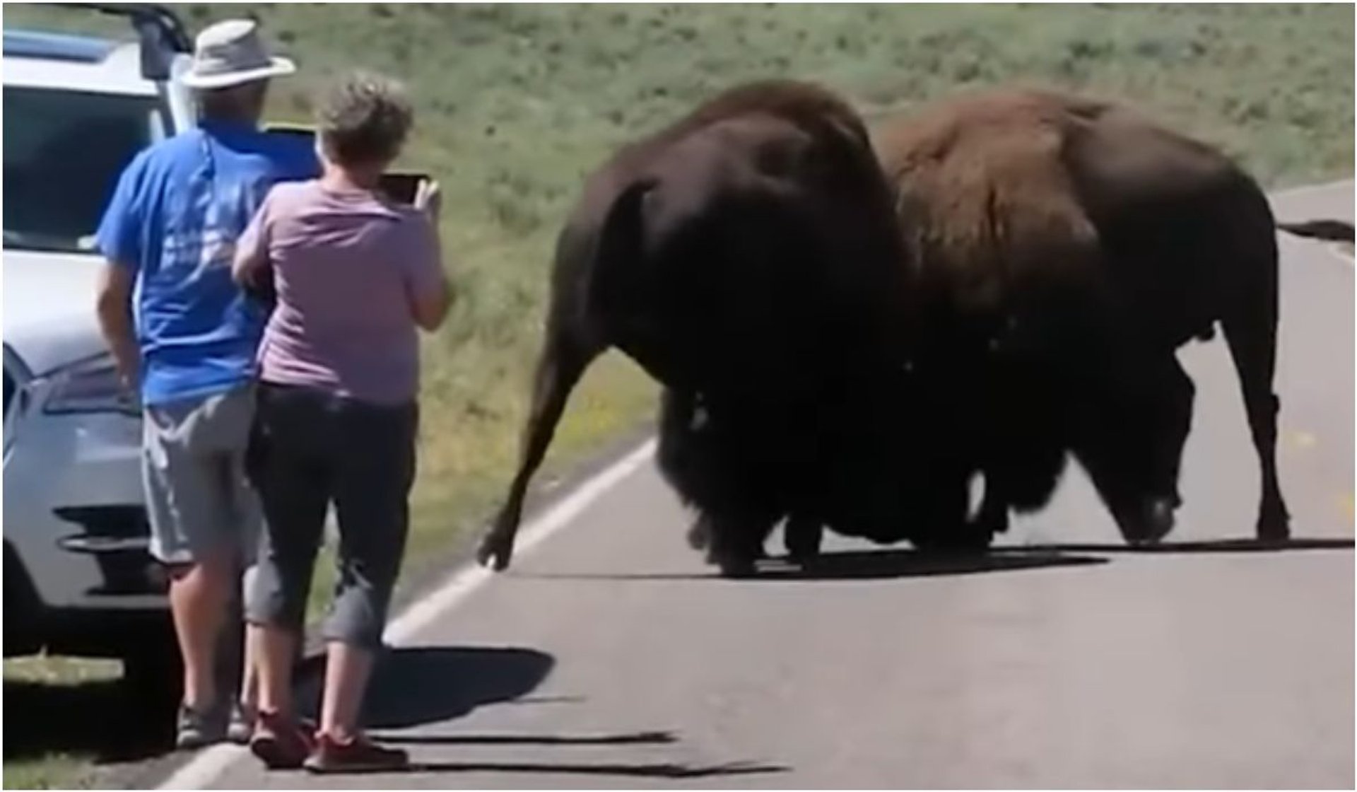 Turyści w Yellowstone