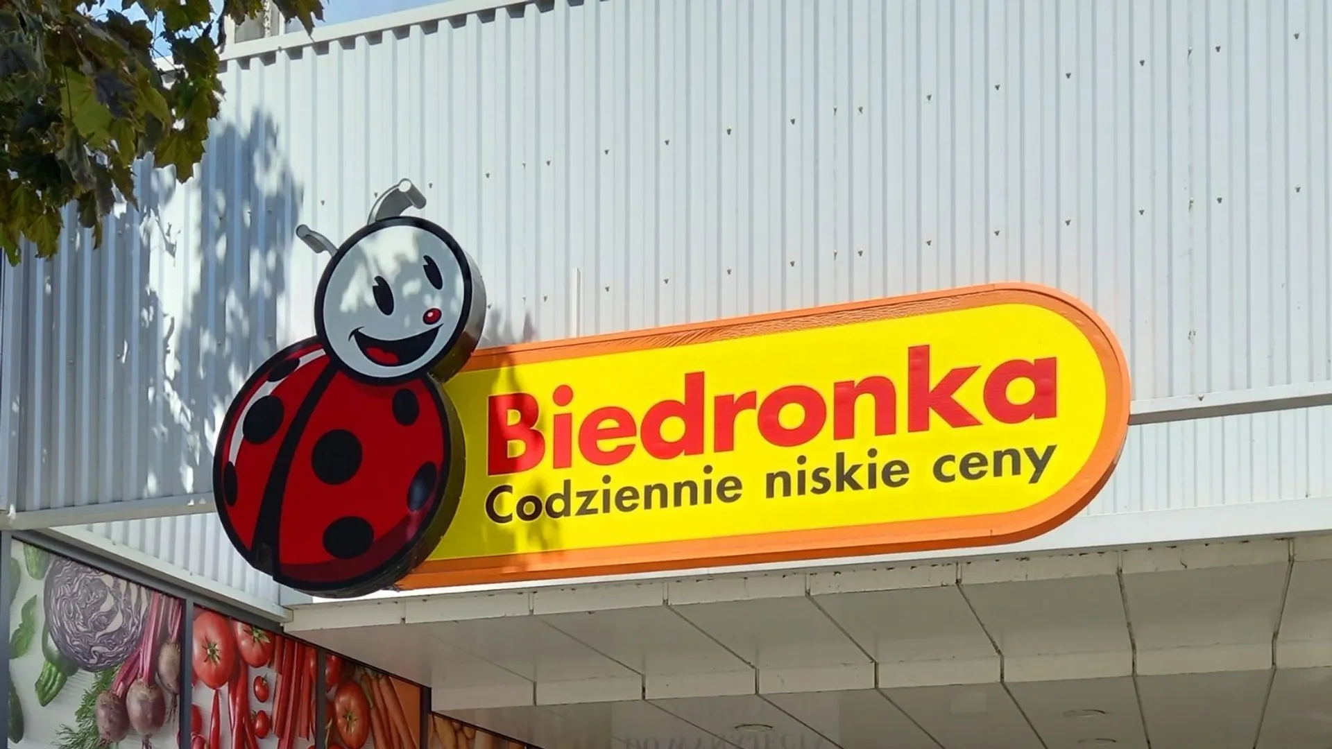 wrzos doniczkowy Biedronka wrzesień