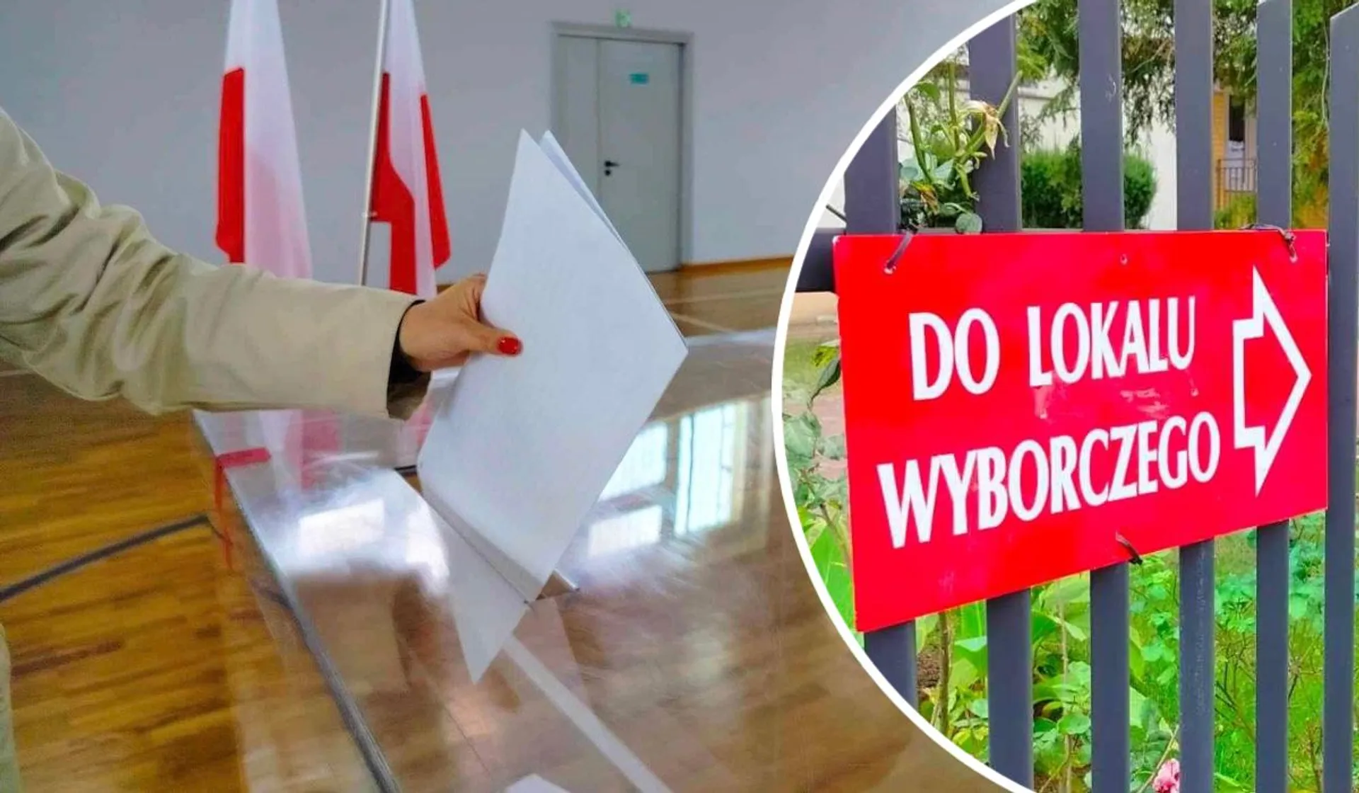 urna, kartka, ręka, znak