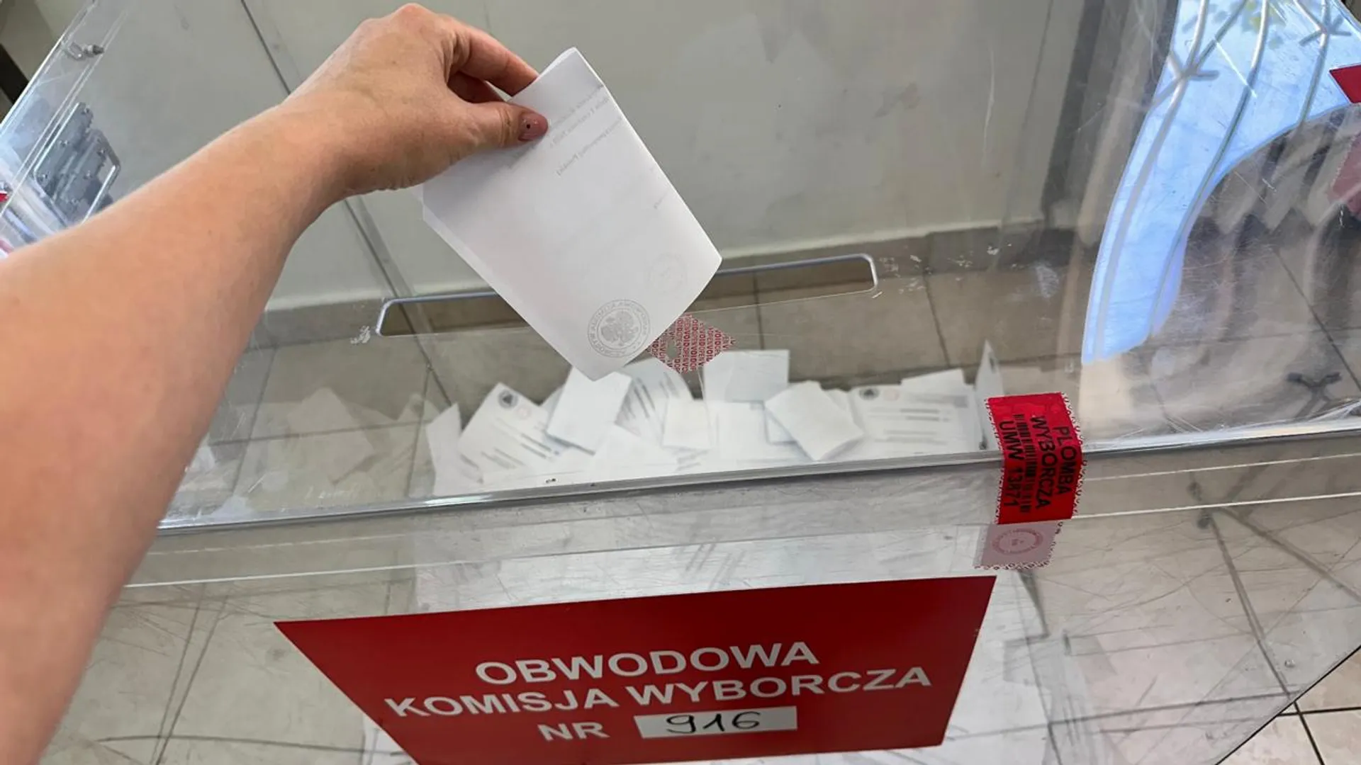 wybory