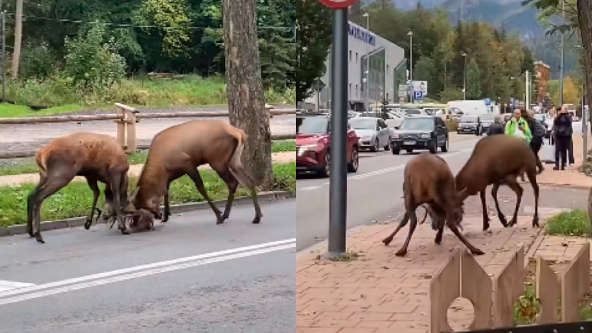 zakopane