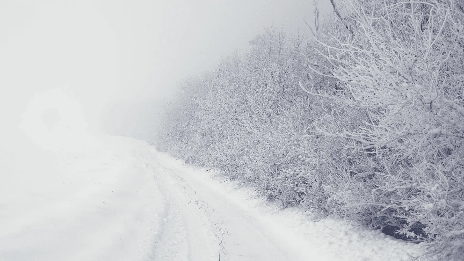 Zamieć śnieżna - zdjęcie poglądowe.