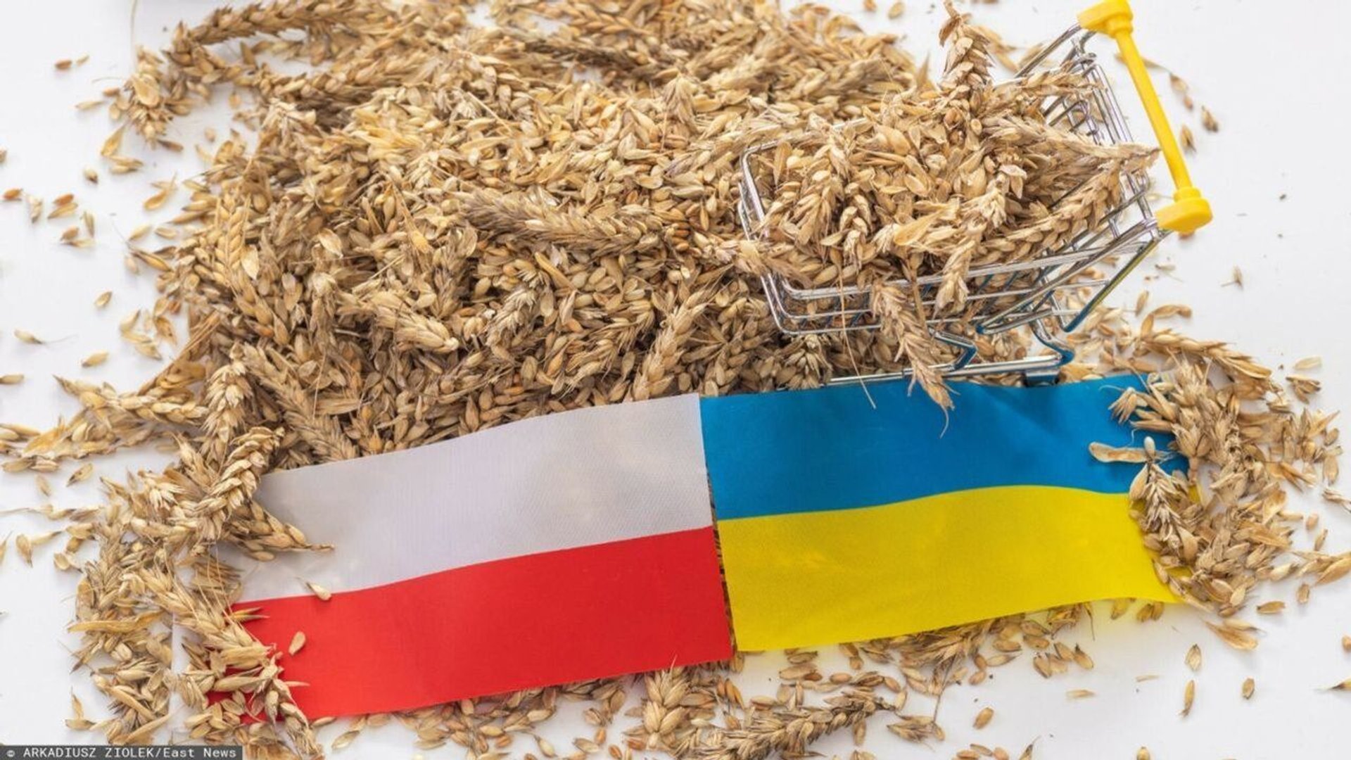 zboże, Ukraina