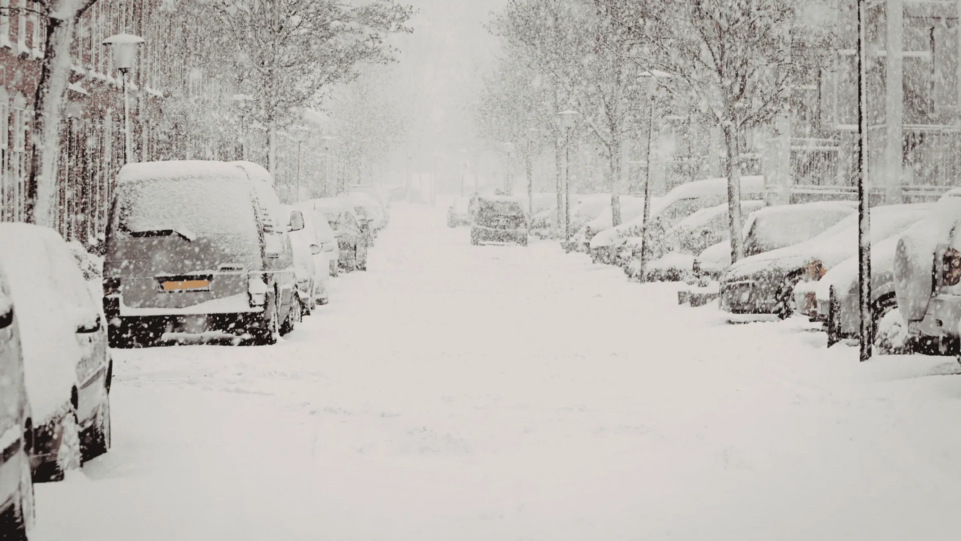Potężna śnieżyca uderzy w Polskę po fali mrozów