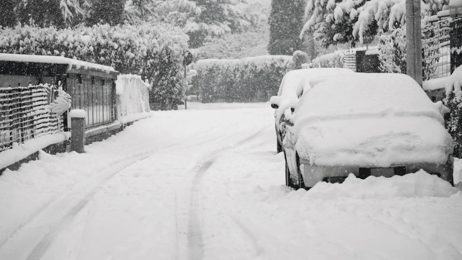 Prognoza silnych mrozów w Polsce na przełomie stycznia i lutego