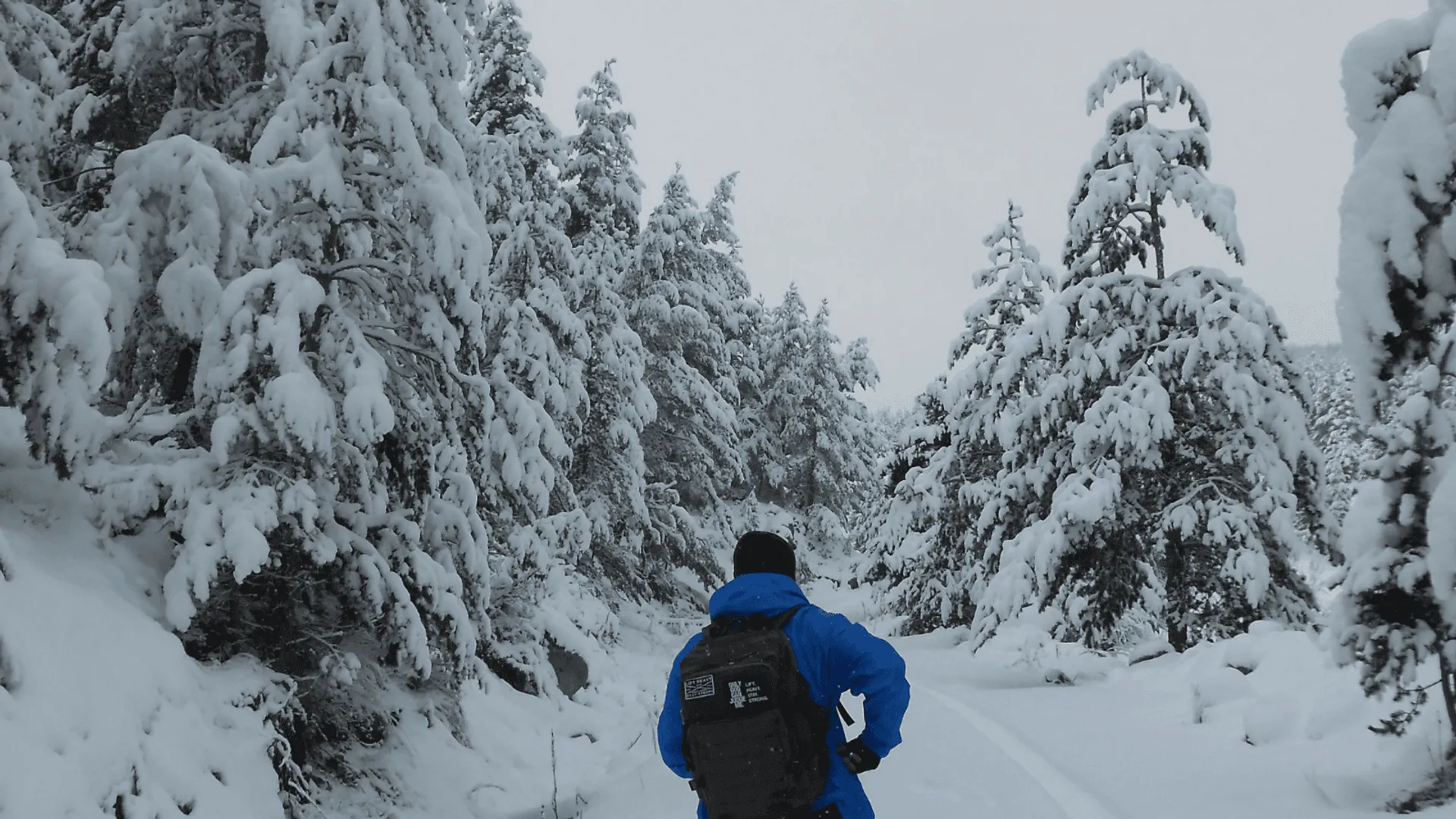 Prognoza meteorologiczna: Intensywne opady śniegu i niskie temperatury w Polsce