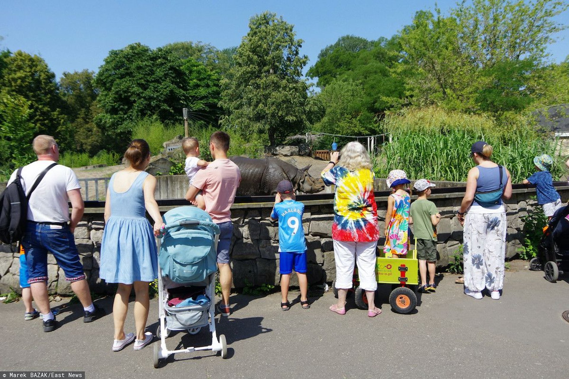 ludzie ZOO zwierzęta