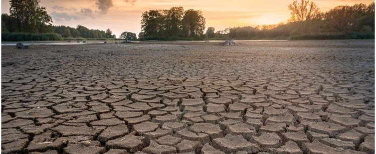 Podatek deszczowy ma sfinansować walkę z suszą. Możliwe, że i od ciebie ściągną 1350 zł