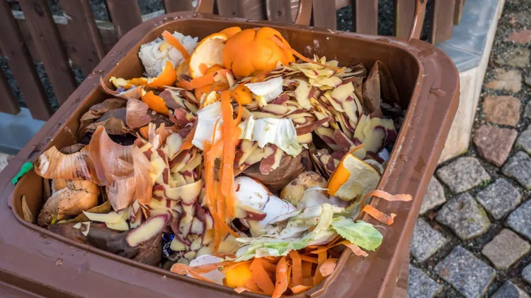 Rewolucja w bioodpadach, są nowe restrykcje. Zmiany dotkną mieszkańców tego województwa