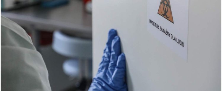 Koronawirus nie jest już jedynym zmartwieniem. Coraz bliżej Polski kolejne wyzwanie epidemiczne, idzie z zachodu