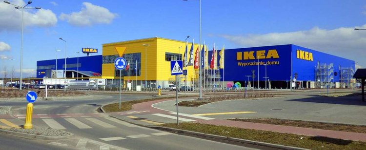 IKEA bez Polski mogłaby sobie nie poradzić. Dane o produkcji mogą cię zaskoczyć