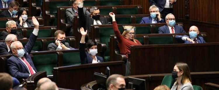 Na obiecankach się skończy. Piątka dla zwierząt ma trafić do sejmowej zamrażarki