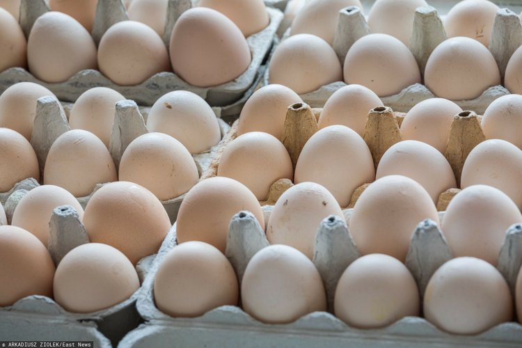Salmonella na jajkach z kilku partii. Sanepid ostrzega 