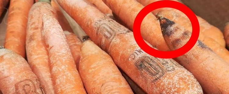 Widzisz na marchewce ciemne plamy bądź biały nalot? Wiemy, czy są szkodliwe