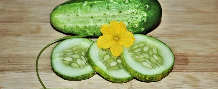 Ogórki zwykle kosztują poniżej 11 zł za kilogram. Za te zapłacić trzeba jednak ponad 10 tys. zł