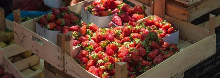 Rekordowo wysokie ceny truskawek na polskich targowiskach