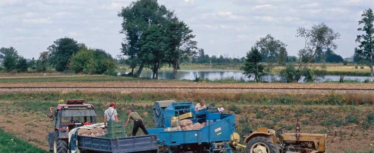 Będą pożyczki dla zadłużonych. ARiMR ogłosił zasady przyznawania, wiadomo kto może liczyć na dodatkowe wsparcie
