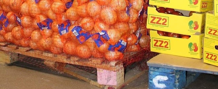 W Niemczech planowali setki sklepów, postawili tylko 3. Nowa sieciówka wchodzi do Polski, plany są ambitne
