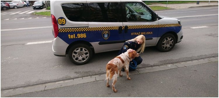 Mandat dostał za psa. Zwierzę samopas biegało po centrum