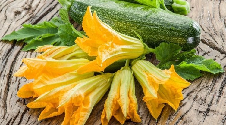 Jak wykorzystać w kuchni kwiaty cukinii? Mamy niezawodny przepis