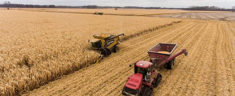 Pierwsi w Europie, trzeci na świecie. W  jednym rodzaju produkcji jesteśmy absolutną potęgą