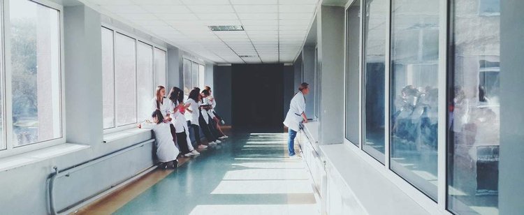 Ubezpieczenie społeczne. Rodzaje ubezpieczeń. Ile wynoszą składki?