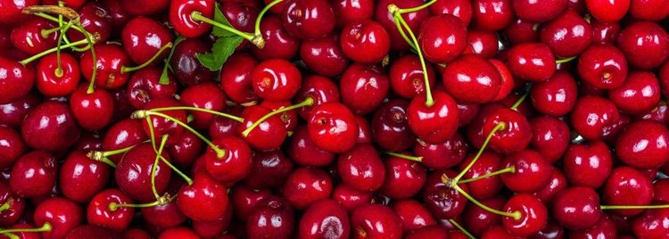 Ile obecnie kosztują czereśnie?