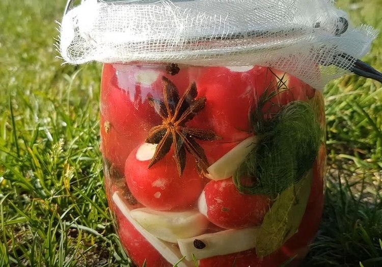 Prosty sposób na kiszoną rzodkiewkę