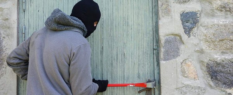 Złodzieje z Polski wpadli we Francji. Specjalizowali się w kradzieży klocków Lego