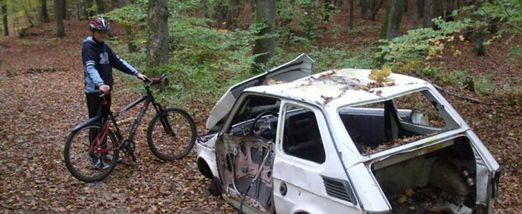 Pojedziesz do lasu na grzyby, możesz zapłacić wysoki mandat. 500 zł kary, a nawet sprawa przed sądem