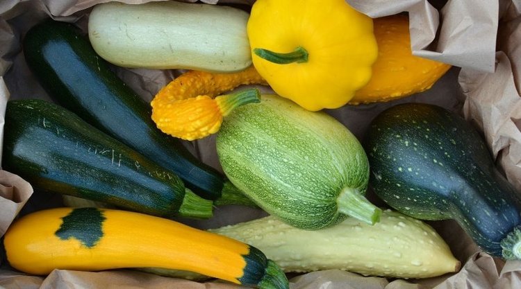 Czym różnią się od siebie patison, cukinia i kabaczek? Nie każdy zna odpowiedź