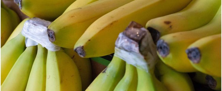 Tydzień kolumbijski w Biedronce. W bananach upchali 19 kg kokainy