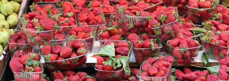 Plantator szczerze o cenach truskawek