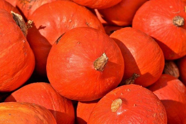 Dyniowe whoopie pies, poznaj przepis na amerykańskie ciasteczka
