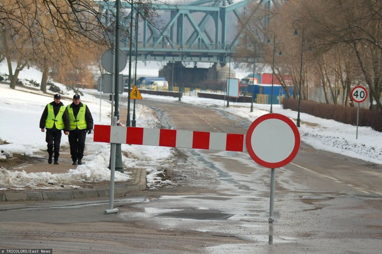 Słonie wędrują przez Chiny. Dla bezpieczeństwa zamknięto dla nich drogi
