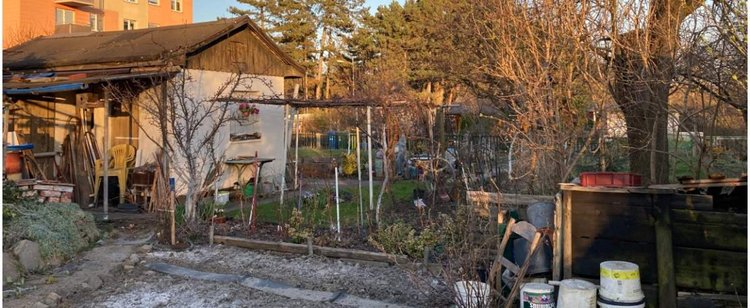 Wielki powrót ogródków działkowych. Miasta zmieniają plany