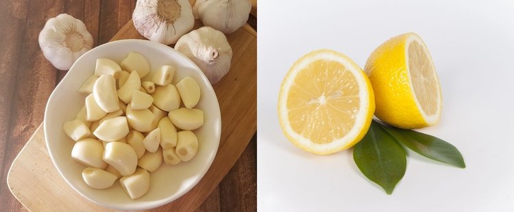 Przepis na domowy syrop z czosnku i cytryny